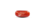Japanese Red Coral - 6.15 Carat - Image 2