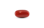 Japanese Red Coral - 7.55 Carat - Image 2