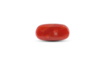 Japanese Red Coral - 7.75 Carat - Image 2