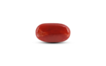Japanese Red Coral - 7.8 Carat - Image 3