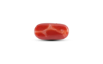 Japanese Red Coral - 6.45 Carat - Image 2