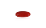 Red Coral - 10.05 Carat - Image 2