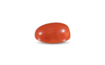Red Coral -14.03 Carat - Image 2