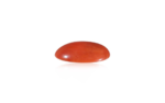 Red Coral - 12.87 Carat - Image 3