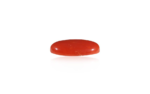 Red Coral - 17.81 Carat - Image 2