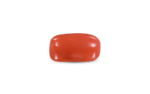 Red Coral -7.86 Carat - Image 2