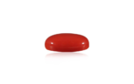 Red Coral - 10.28 Carat - Image 2