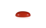 Red Coral - 11.29 Carat - Image 2