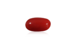 Red Coral - 10.15 Carat - Image 2