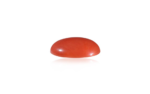 Red Coral - 9.87 Carat - Image 2
