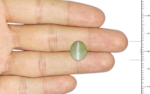 Cat's Eye Chrysoberyl - 7.61 Carat - Image 2