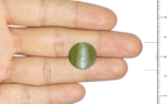 Cat's Eye Chrysoberyl - 18.27 Carat - Image 3
