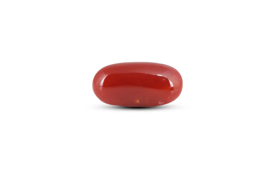 502 (49) Japanese Red Coral - 8.75 Carat - Image 1