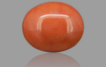 Red Coral - 12.40 Carat