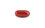 Japanese Red Coral - 7.25 Carat - Image 3