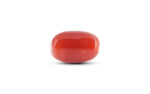 Japanese Red Coral - 6 Carat - Image 3