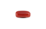 Japanese Red Coral - 7.3 Carat - Image 3