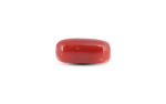Japanese Red Coral - 6.15 Carat - Image 3