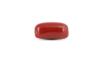 Japanese Red Coral - 7.55 Carat - Image 3