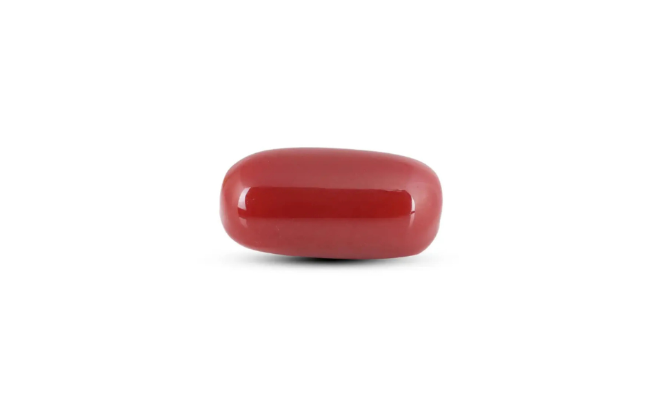 502 (58) Japanese Red Coral - 6.3 Carat - Image 1