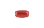 Japanese Red Coral - 7.75 Carat - Image 3