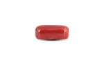 Japanese Red Coral - 6.45 Carat - Image 3