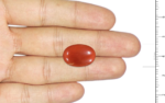 Red Coral -14.03 Carat - Image 3