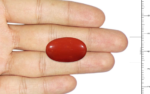 Red Coral - 17.81 Carat - Image 3