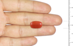 Red Coral -7.86 Carat - Image 3