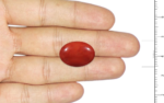 Red Coral - 11.29 Carat - Image 3