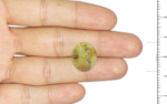 Cats Eye Chrysoberyl - 15.41 Carat - Image 2