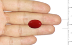 Red Coral - 10.15 Carat - Image 3