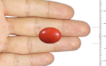 Red Coral - 9.87 Carat - Image 3
