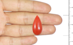 Red Coral - 12.50 Carat - Image 3