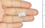 Basra Pearl - 13.4 Carat - Image 3