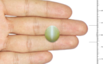 Cat's Eye Chrysoberyl - 14.52 Carat - Image 3