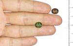 Alexandrite - 3.02 Carat - Image 3