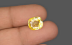 Yellow Sapphire - 4.09 Carat - Image 3