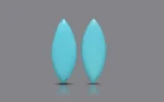 Turquoise Pair - 54.75 Carats
