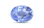 Blue Sapphire - 3.03 Carats