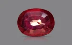 Intense Red Pigeon Blood Ruby (Heated) 8x6 MM - 1.68 Carats - Image 4