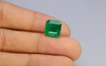 Minor Oil Vivid Green Emerald - 6.78 Carats - Image 2