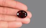 Almandine Red Garnet (Pyrope) - 30.11 Carats - Image 2