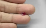 Pigeon Blood Ruby - 1.02 Carats - Image 2