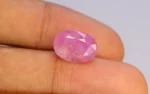 Burmese Ruby - 9.08 Carats - Image 2