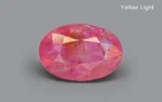 Burmese Ruby 15x10 MM - 9.79 Carats - Image 3