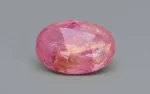 Burmese Ruby 15x10 MM - 9.79 Carats - Image 4