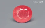 Burmese Ruby - 8.74 Carats - Image 3