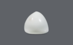 White Coral - 21.54 Carat