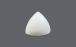White Coral - 20.57 Carat